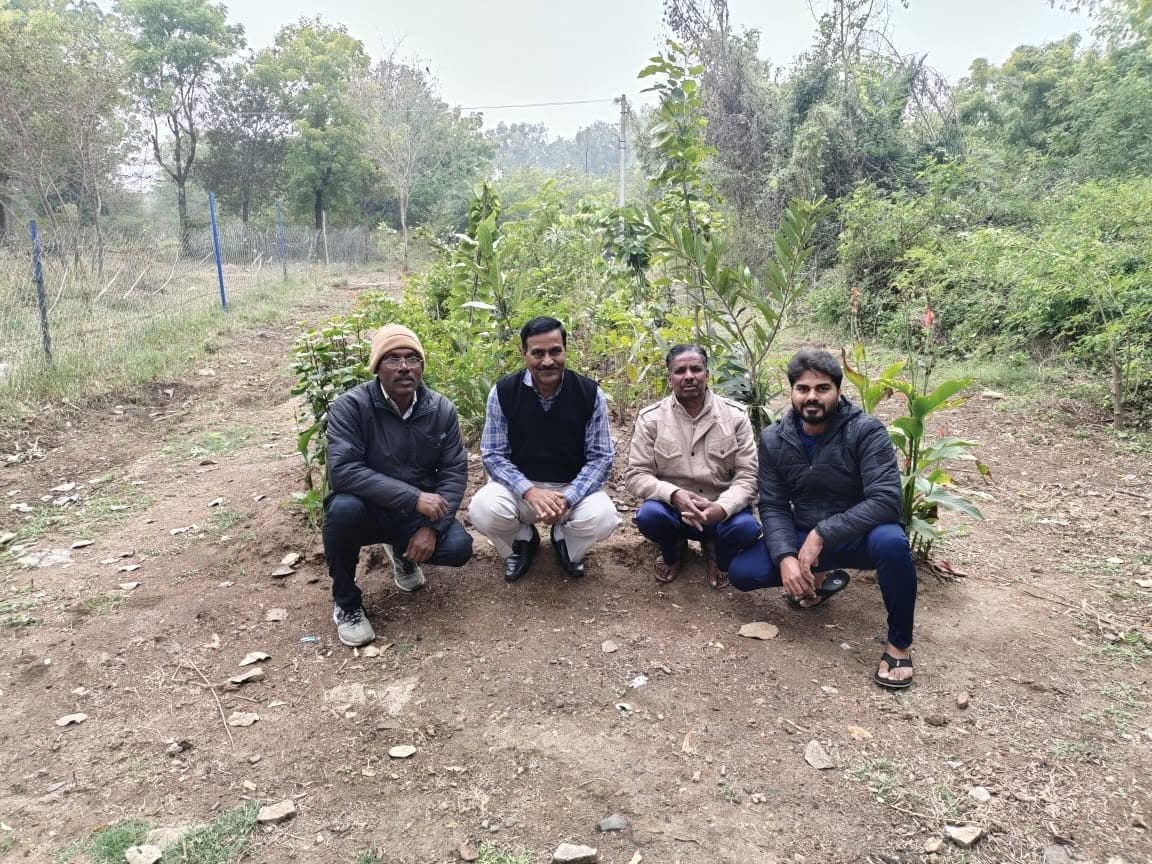 टेक्सटाइल कॉलेज भीलवाड़ा में अपना सघन वन