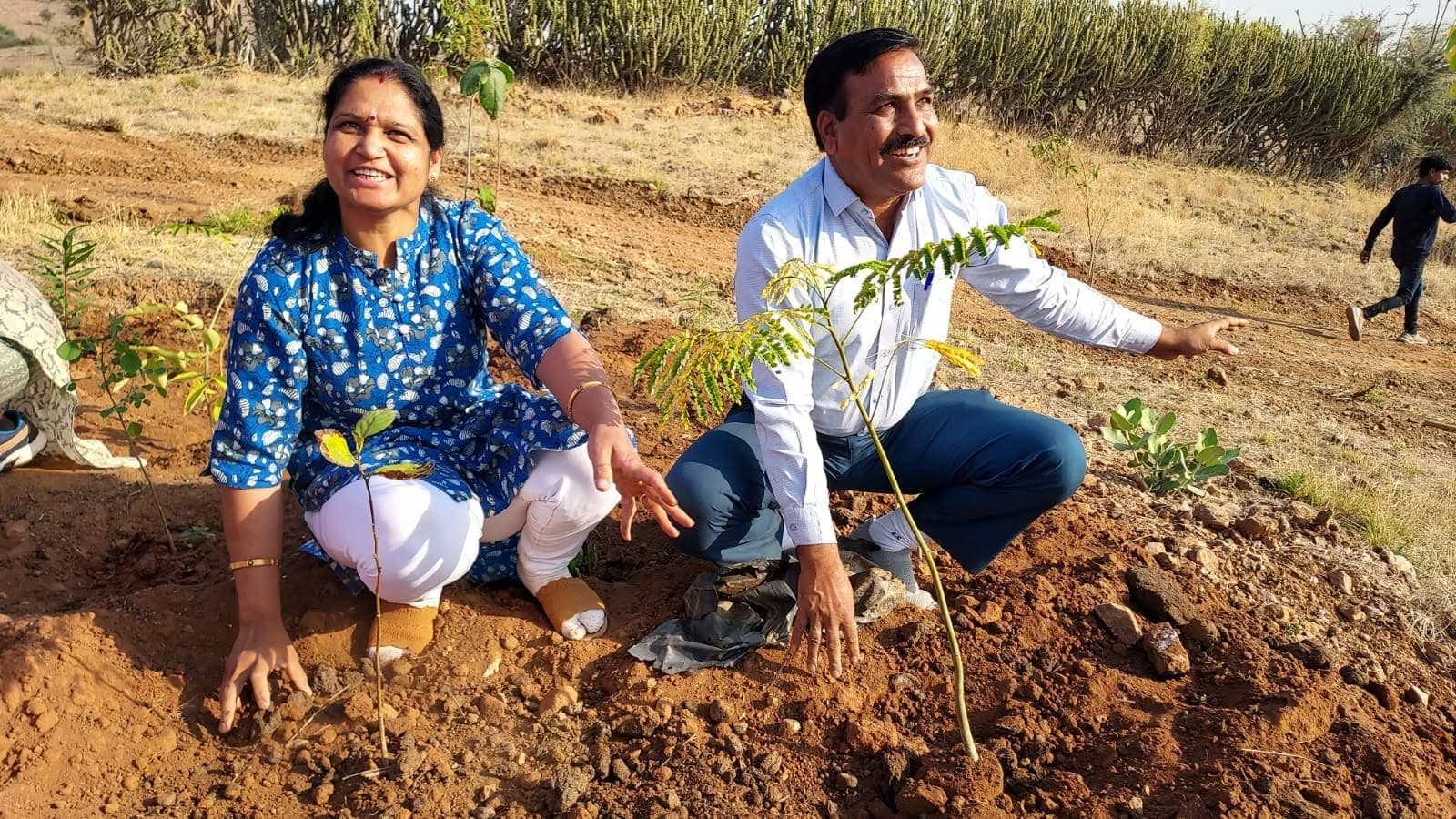 बनेड़ा, भीलवाड़ा के चार्ली नेचर पार्क में 300 पौधे लगाए गए