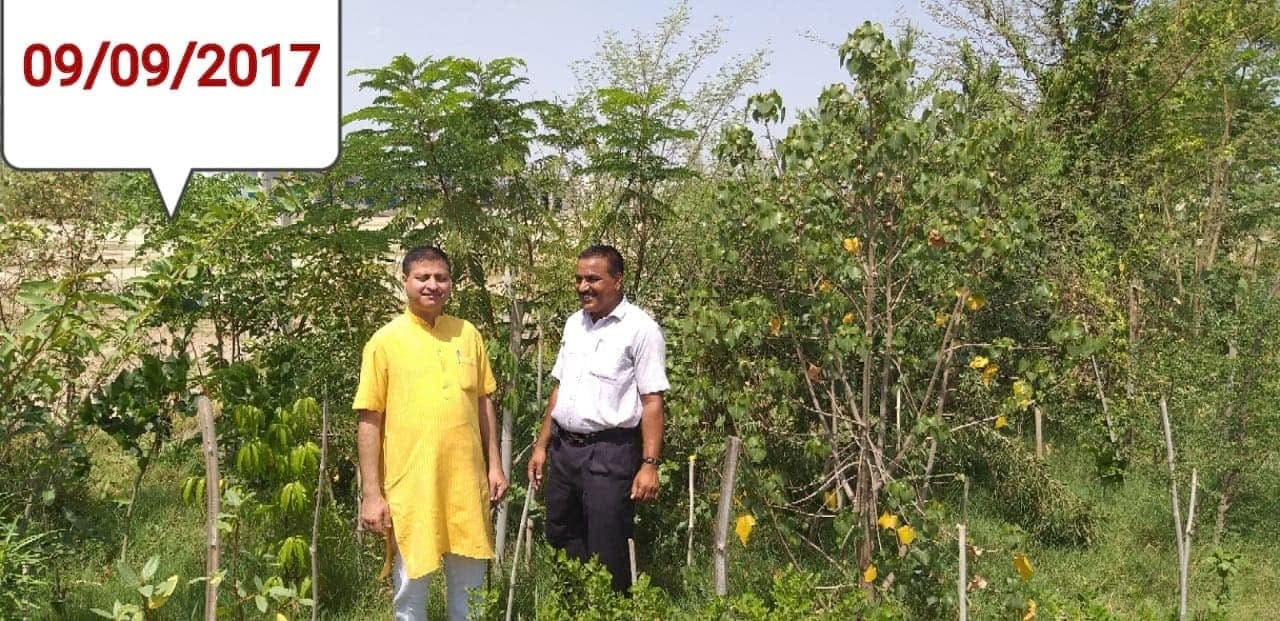 हरित शाहपुरा, भीलवाड़ा द्वारा विकसित कृत्रिम जंगल
