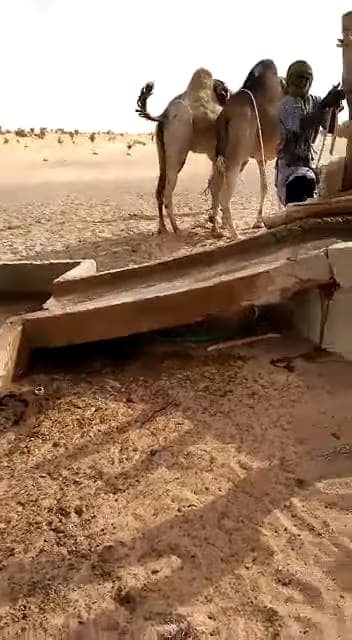जल संरक्षण का संदेश