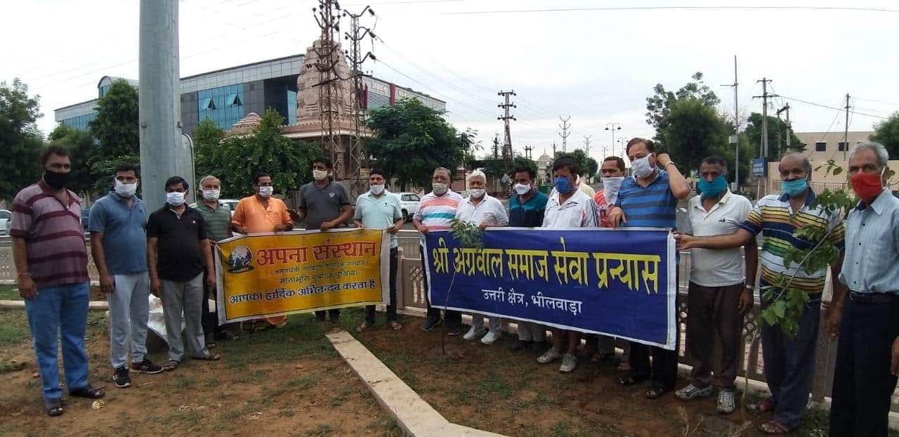विनोद मेलाना व बिटिया रानी जन्मोत्सव पौधारोपण भीलवाड़ा