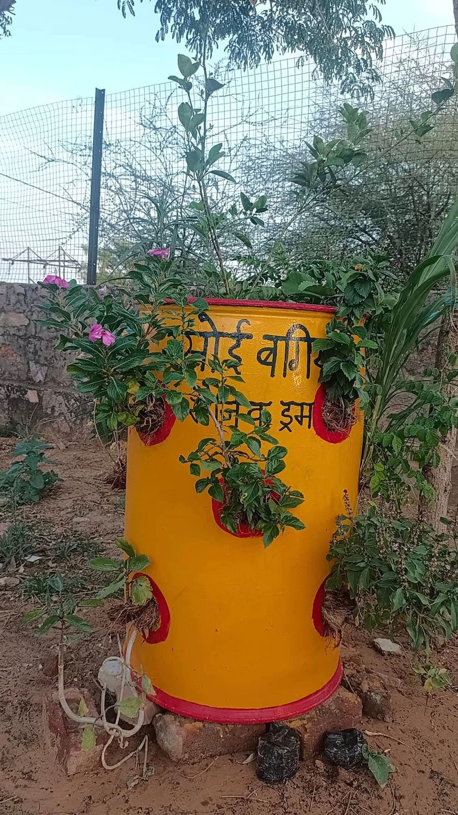 केशव विद्यापीठ, जामडोली, जयपुर में गोश वर्ग