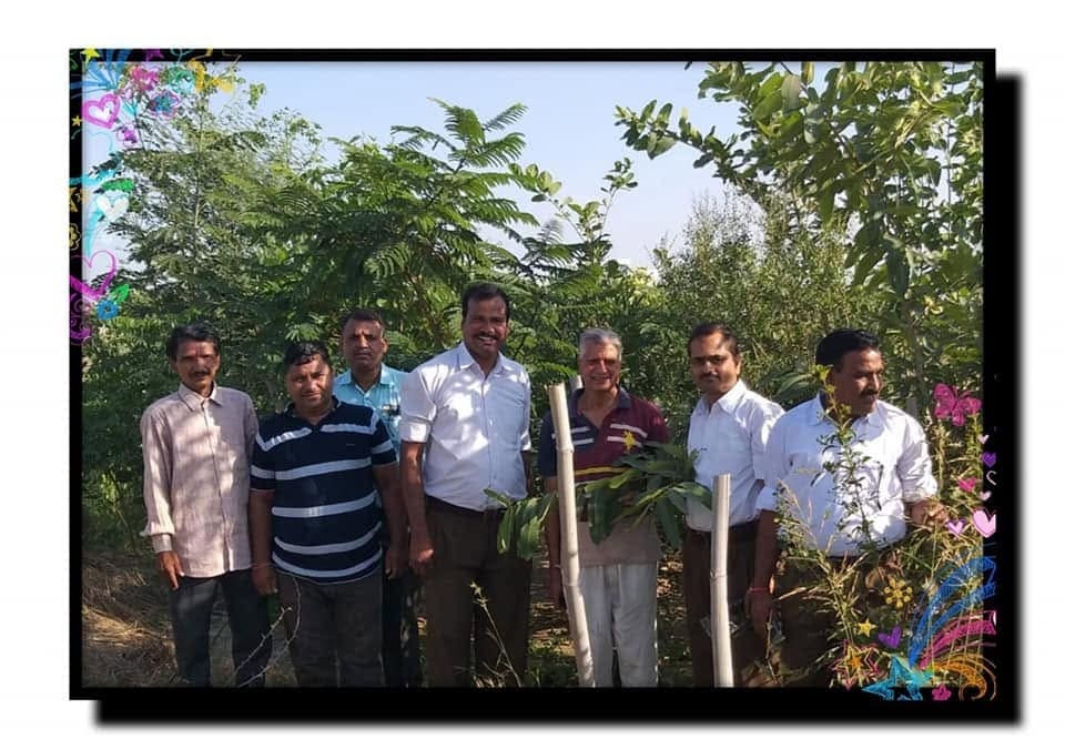 शाहपुरा, भीलवाड़ा में कृत्रिम जंगल का अवलोकन