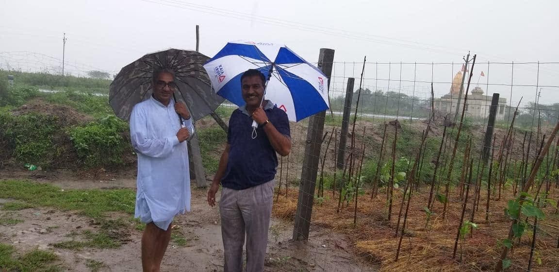शाहपुरा, भीलवाड़ा में कृत्रिम जंगल का प्रथम जन्मदिवस