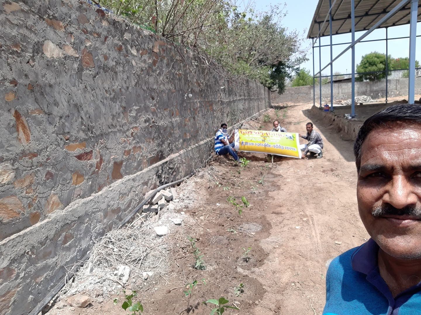 मियावाकि जंगल सघन वन भीलवाड़ा