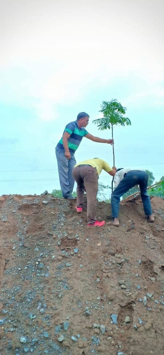 जन्मोत्सव और स्मृति में सुलभि क्रेशर व बिलिया में पौधारोपण