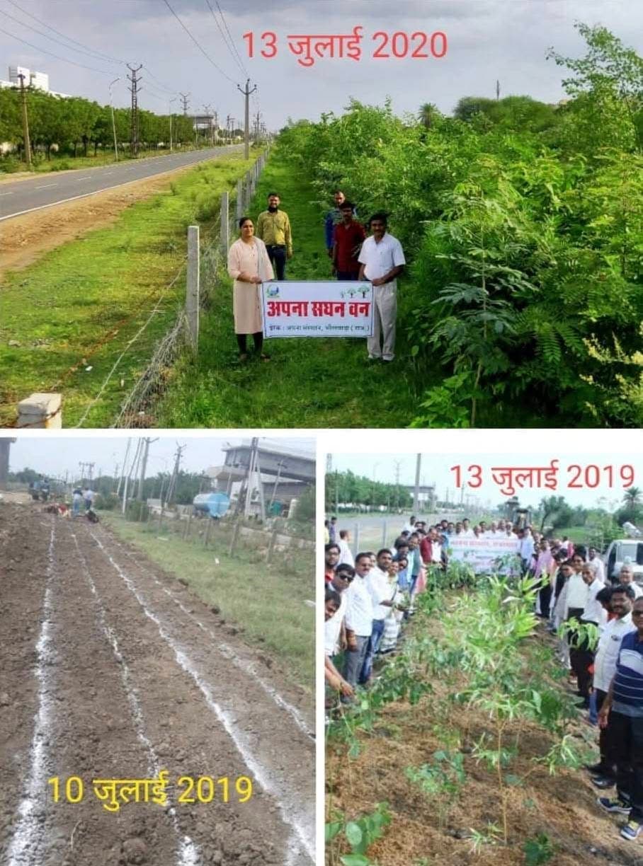 भीलवाड़ा का प्रथम सघन वन