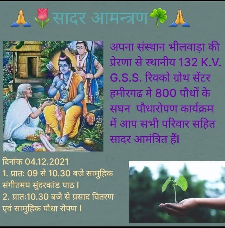 रीको ग्रोथ सेंटर भीलवाड़ा में सघन वन का अवलोकन