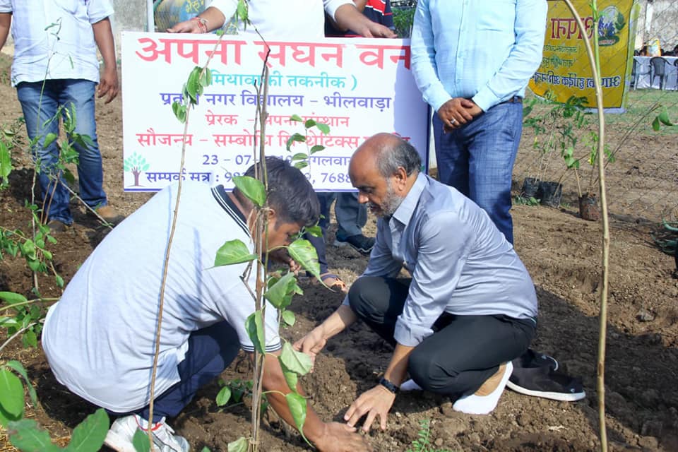 अपना सघन वन — मियावाकी तकनीक से प्रतापनगर विद्यालय (भीलवाड़ा 2019)