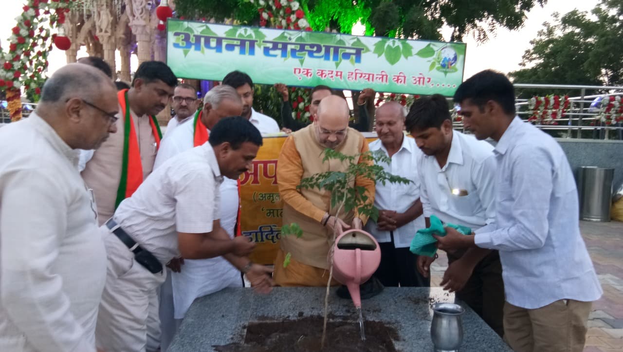 पौधारोपण गतिविधियाँ — चित्र संग्रह