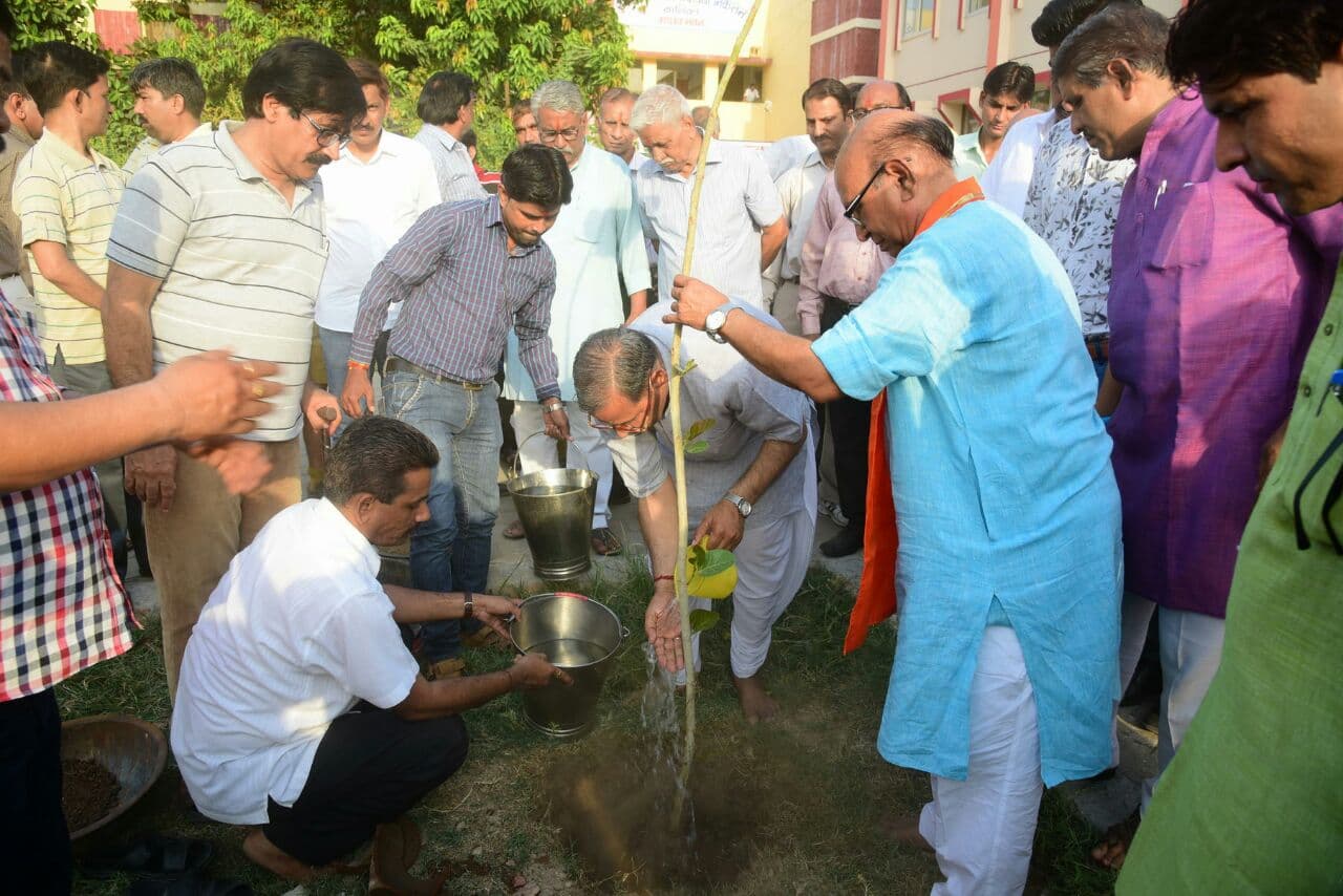 पौधारोपण गतिविधियां